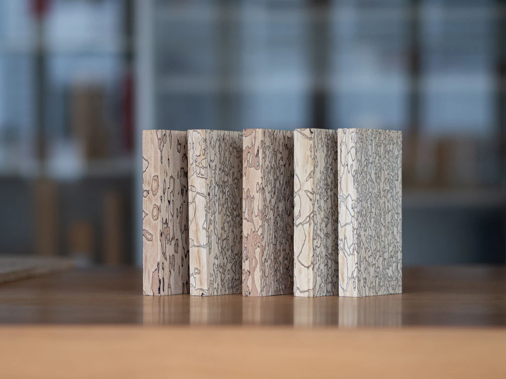 Spalted wood