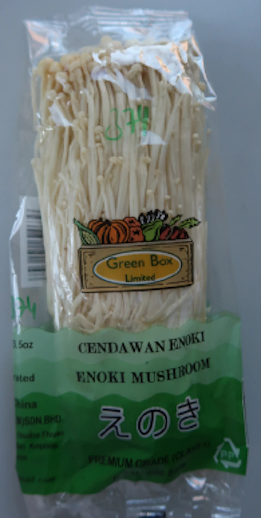 Enoki Pilze