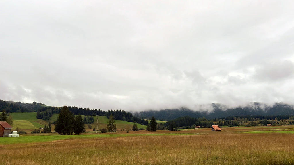 Moorlandschaften wie diejenige bei Rothenthurm sind typisch für den Kanton Zug. (Foto: Stephanie Kusma) 