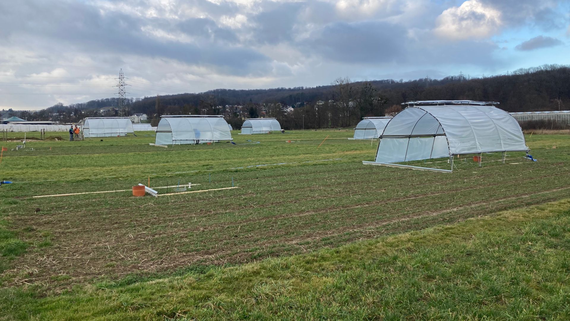 Luftbild, Dächer Agroscope, vue aérienne du toits