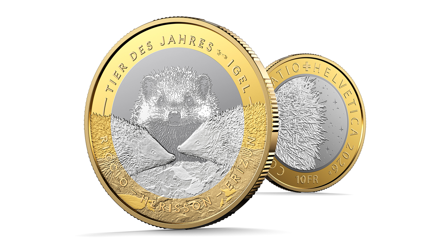 Tier des Jahres: der Igel