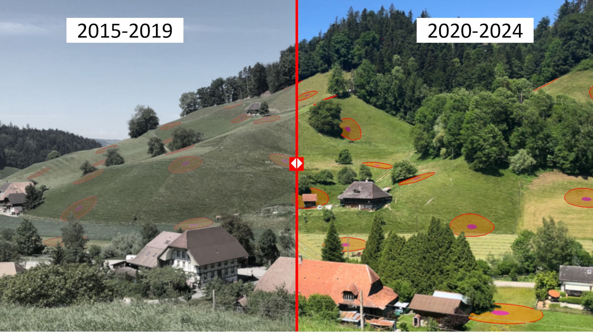 Biodiversity in the Agricultural Landscape