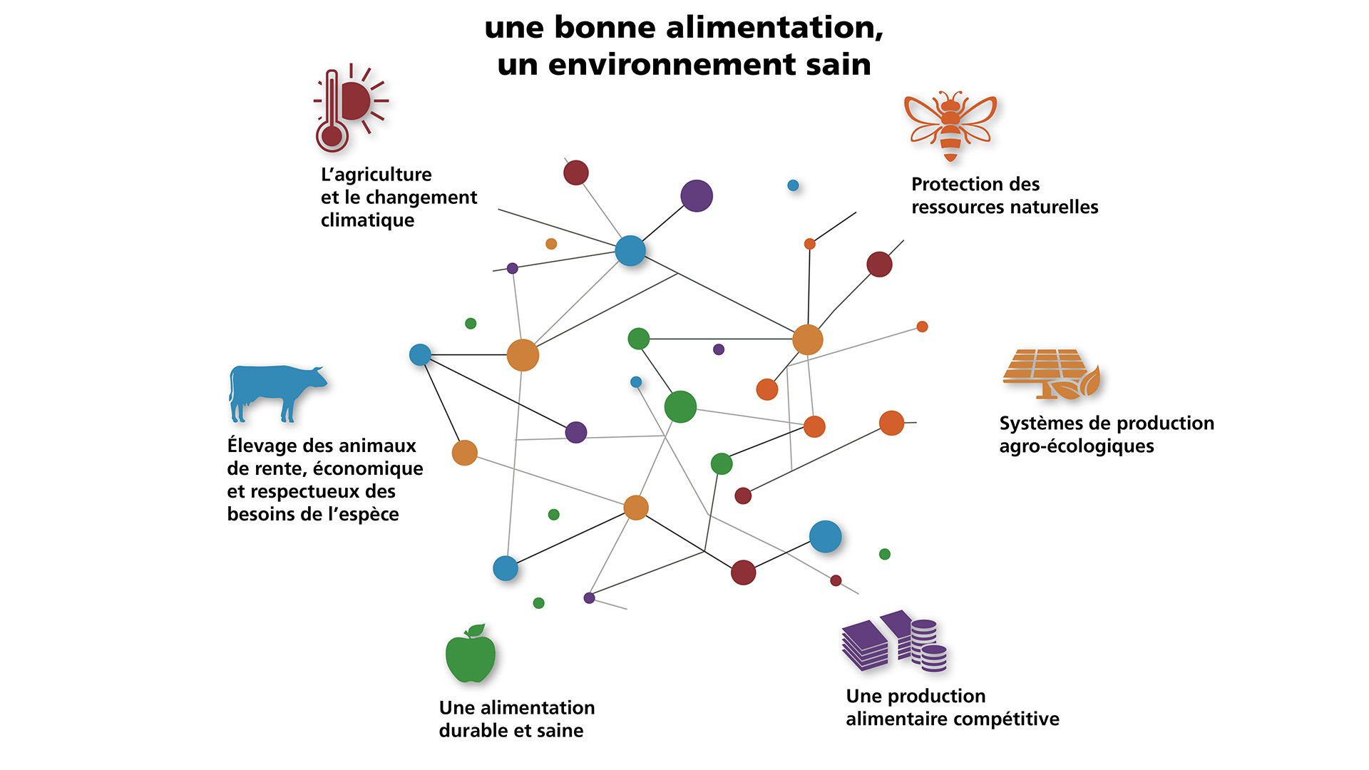 Une bonne alimentation - un environnement sain
