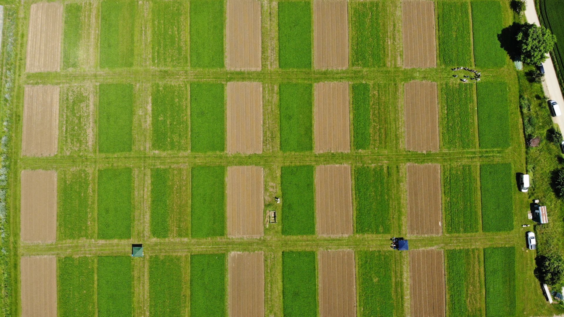 Luftbild, Feld Agroscope, vue aérienne du champ